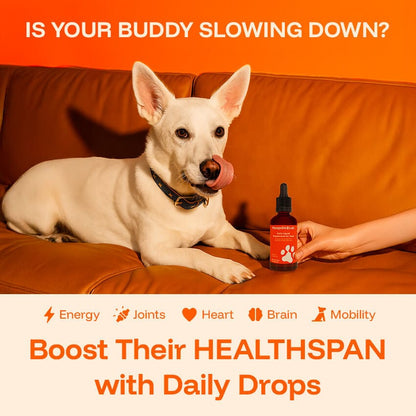 Healthy Pet Drops
