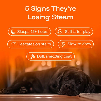 Healthy Pet Drops