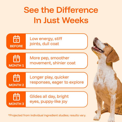 Healthy Pet Drops